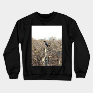 Raven Crewneck Sweatshirt